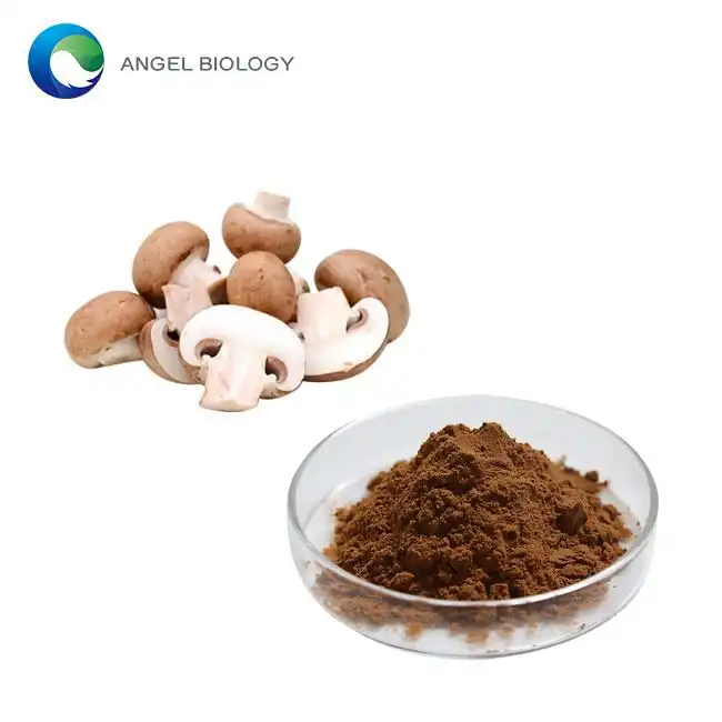 Shiitake Mushroom Extract Powder vs Fresh Shiitake: Key Differences & Benefits